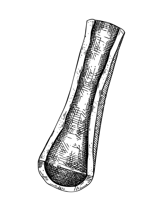 Slice of big marrowbone with meat sketch. Cooked bone isolated on white background. Hand drawn healthy food illustration for butchery, recipes, menu in vintage style. 
